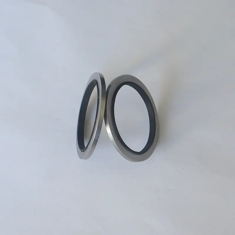 Basic Hydraulic Seals Basic Hydraulic Seals