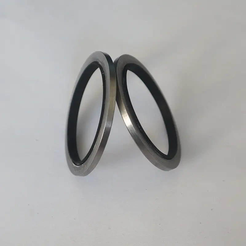 Basic Hydraulic Seals Basic Hydraulic Seals