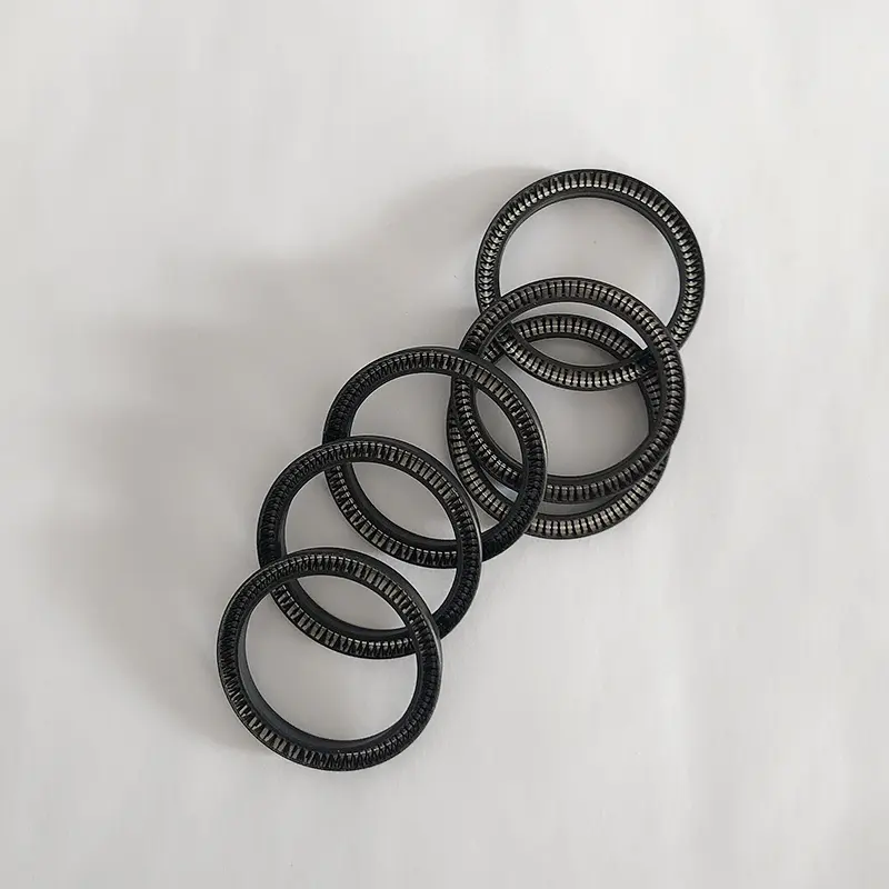 Radial Spring Energized Seals