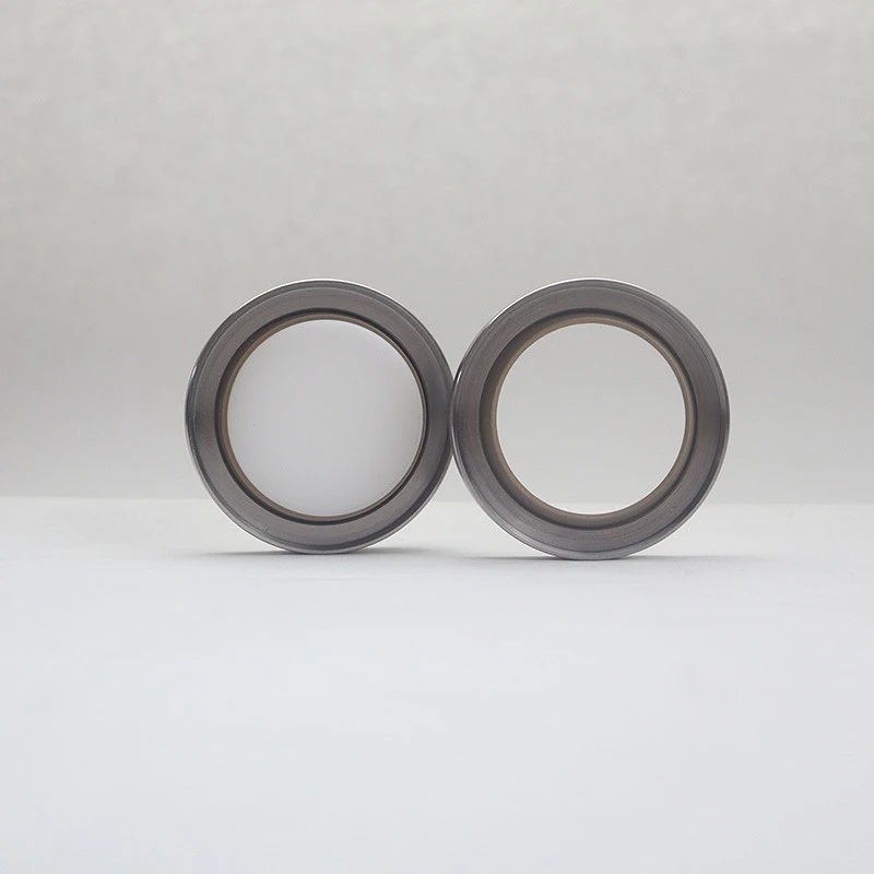 High Pressure Rotary Seals