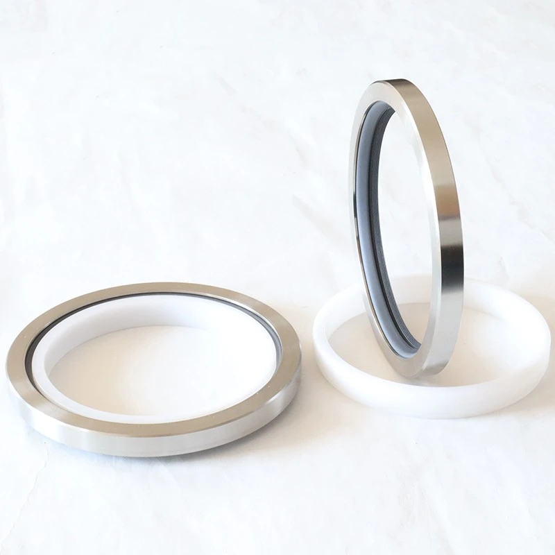 High Pressure Rotary Seals